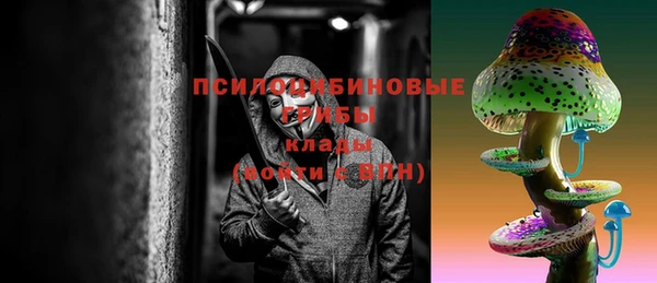 альфа пвп Краснослободск
